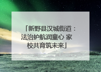 新野县汉城街道：法治护航润童心 家校共育筑未来