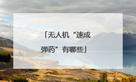 无人机“速成弹药”有哪些