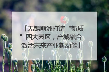 无锡前洲打造“新质”四大园区，产城融合激活未来产业新动能