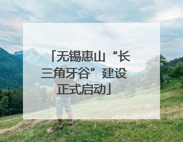 无锡惠山“长三角牙谷”建设正式启动