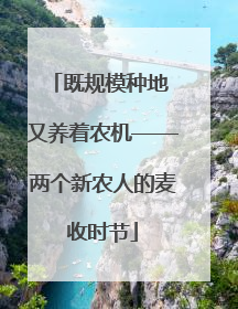 既规模种地 又养着农机——两个新农人的麦收时节