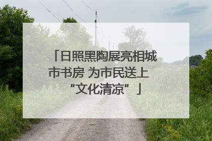 日照黑陶展亮相城市书房 为市民送上“文化清凉”