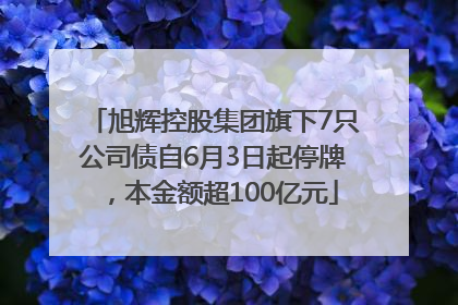 旭辉控股集团旗下7只公司债自6月3日起停牌，本金额超100亿元