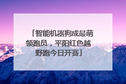 智能机器狗成最萌领跑员，平阳红色越野跑今日开赛