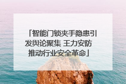 智能门锁夹手隐患引发舆论聚集 王力安防推动行业安全革命