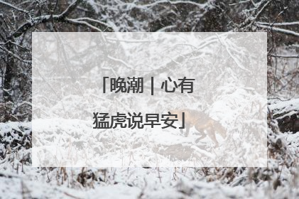 晚潮｜心有猛虎说早安