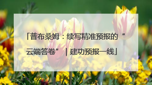 普布桑姆：续写精准预报的“云端答卷”｜建功预报一线