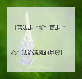 普法走“新”更走“心”法治清风润基层
