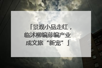 景观小品走红，临沭柳编藤编产业成文旅“新宠”