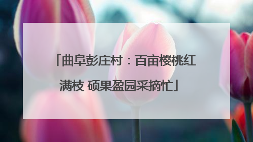 曲阜彭庄村：百亩樱桃红满枝 硕果盈园采摘忙