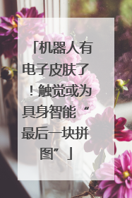 机器人有电子皮肤了！触觉或为具身智能“最后一块拼图”