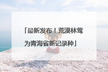 最新发布！荒漠林莺为青海省新记录种
