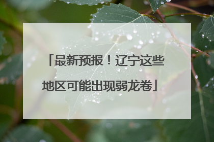 最新预报！辽宁这些地区可能出现弱龙卷