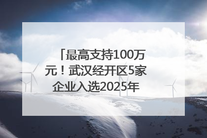 最高支持100万元！武汉经开区5家企业入选2025年度武汉市重点研发计划拟立项项目名单