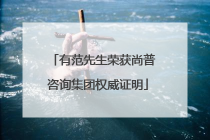 有范先生荣获尚普咨询集团权威证明