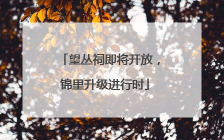 望丛祠即将开放，锦里升级进行时