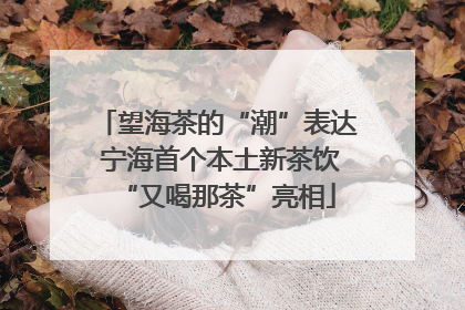 望海茶的“潮”表达 宁海首个本土新茶饮“又喝那茶”亮相
