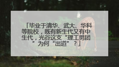 毕业于清华、武大、华科等院校，既有新生代又有中生代，光谷这支“理工男团”为何“出道”？