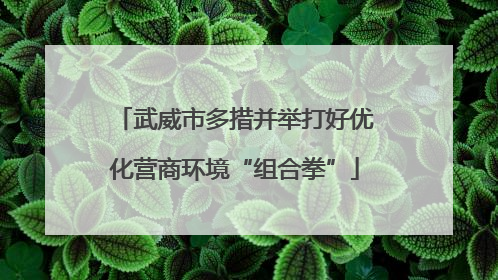 武威市多措并举打好优化营商环境“组合拳”