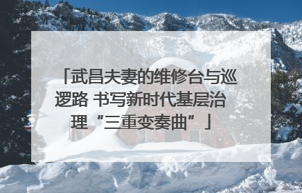 武昌夫妻的维修台与巡逻路 书写新时代基层治理“三重变奏曲”