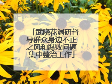 武晓花调研督导群众身边不正之风和腐败问题集中整治工作