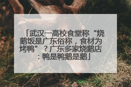 武汉一高校食堂称“烧鹅饭是广东俗称，食材为烤鸭”？广东多家烧鹅店：鸭是鸭鹅是鹅