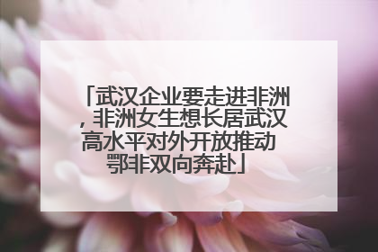 武汉企业要走进非洲，非洲女生想长居武汉 高水平对外开放推动鄂非双向奔赴
