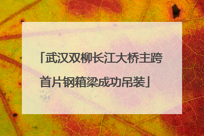 武汉双柳长江大桥主跨首片钢箱梁成功吊装
