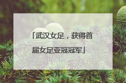 武汉女足，获得首届女足亚冠冠军