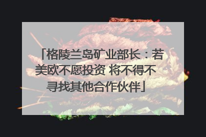 格陵兰岛矿业部长：若美欧不愿投资 将不得不寻找其他合作伙伴