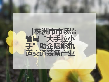 株洲市市场监管局“大手拉小手”助企赋能轨道交通装备产业链质量升级