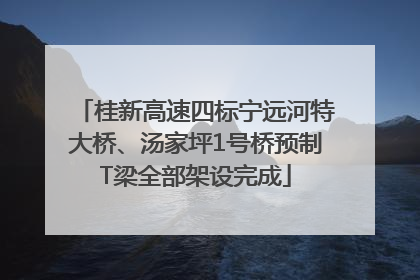 桂新高速四标宁远河特大桥、汤家坪1号桥预制T梁全部架设完成