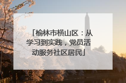 榆林市横山区：从学习到实践，党员活动服务社区居民