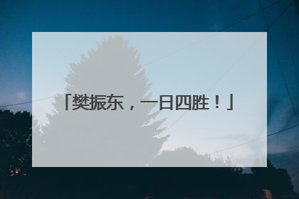 樊振东，一日四胜！