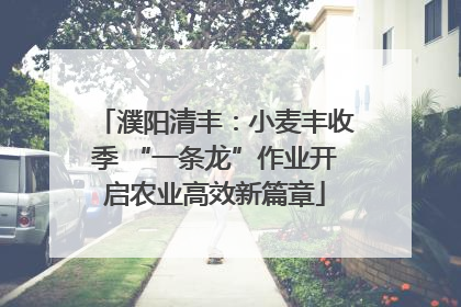 濮阳清丰：小麦丰收季 “一条龙”作业开启农业高效新篇章