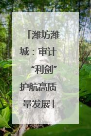 潍坊潍城：审计“利剑”护航高质量发展