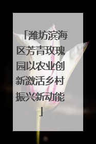 潍坊滨海区芳青玫瑰园以农业创新激活乡村振兴新动能