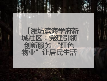 潍坊滨海学府新城社区：党建引领创新服务 “红色物业”让居民生活“幸福满格”