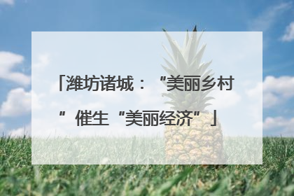 潍坊诸城：“美丽乡村”催生“美丽经济”
