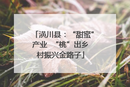 潢川县：“甜蜜”产业  “桃”出乡村振兴金路子