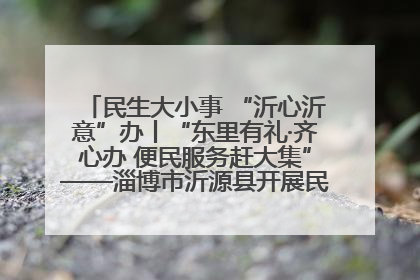 民生大小事 “沂心沂意”办丨“东里有礼·齐心办 便民服务赶大集”——淄博市沂源县开展民生政策宣传活动