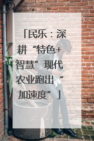 民乐：深耕“特色+智慧”现代农业跑出“加速度”