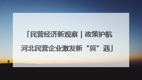 民营经济新观察｜政策护航 河北民营企业激发新“冀”遇