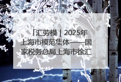 汇劳模｜2025年上海市模范集体——国家税务总局上海市徐汇区税务局第一税务所