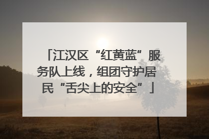 江汉区“红黄蓝”服务队上线，组团守护居民“舌尖上的安全”