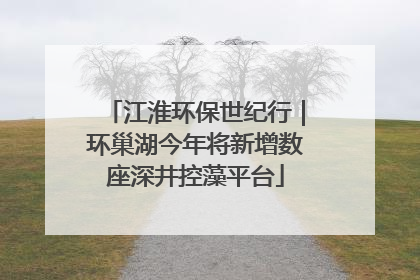 江淮环保世纪行｜环巢湖今年将新增数座深井控藻平台