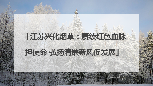 江苏兴化烟草：赓续红色血脉担使命 弘扬清廉新风促发展