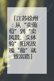 江苏徐州：从“卖葡萄”到“卖风景、卖体验”阳光玫瑰“葡”就致富路