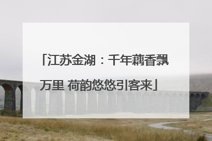 江苏金湖：千年藕香飘万里 荷韵悠悠引客来