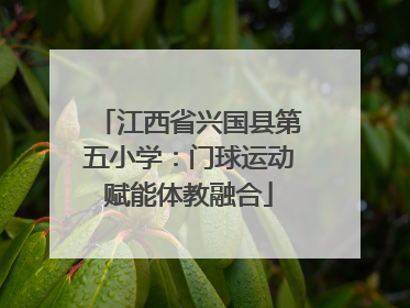 江西省兴国县第五小学：门球运动赋能体教融合
